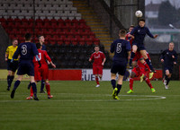 Photo courtesy of Tom Robley