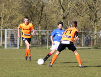 Photo courtesy of Robert Watt