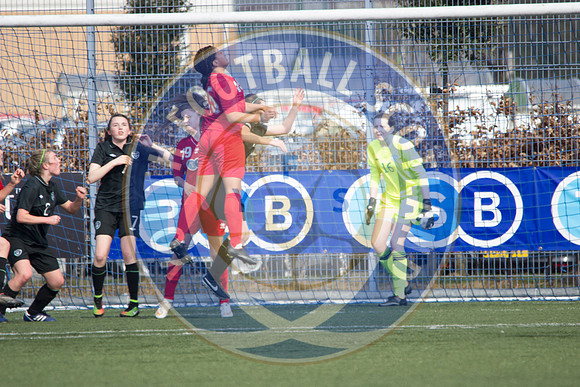 Photo courtesy of Colin Poultney