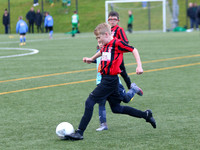 Action Shots (2013s)