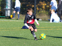 Action Shots (2012s)