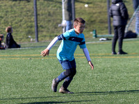 Action Shots (2012s)
