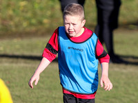 Action Shots (2015s/2016s)