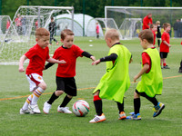 Mini Colts