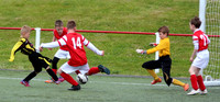 Action Photos