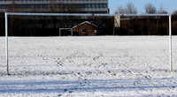 Winter snow