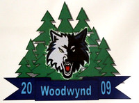Club/Team badges