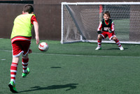Action Photos