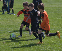 Fun Fours
