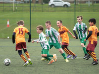 St. Patricks Golds vs Motherwell FC CT Ambers