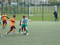 St. Patricks Golds vs Motherwell FC CT Ambers