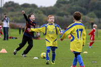 Swifts Lo Res