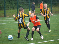 Cup Finals