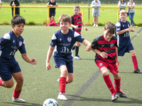 Hamilton Dynamo vs Claremont (2015s)