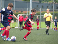 Hamilton Dynamo vs Claremont (2015s)