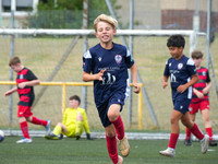 Hamilton Dynamo vs Claremont (2015s)