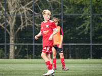 Moorlands FC vs Carluke Thistle - CLYFA 2013s A Challenge Cup