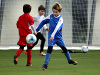 Action Photos