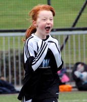 Jeanfield Swifts