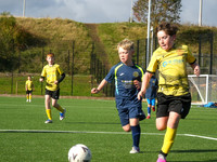 Holytown Colts v Milton Rovers YFC Yellow (U12)