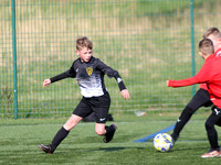 CLYFA @ St Ambrose HS - 9am KOs (2012s)
