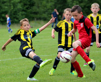 Holytown Colts Festival 2016