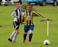 Forth Valley FDA Festival 2016