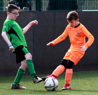 Syngenta Juveniles v Ireland (CP)