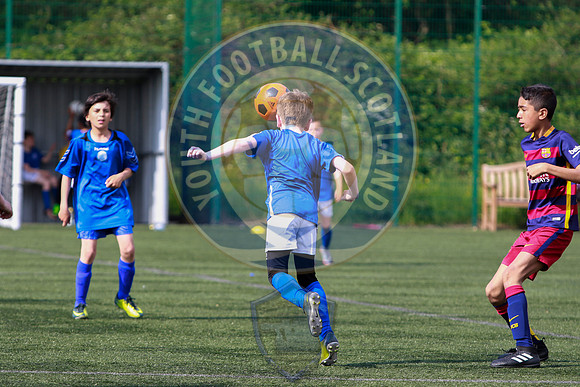 Harmony Row Football Festival (2006), Sir Alex Ferguson Park, Sa