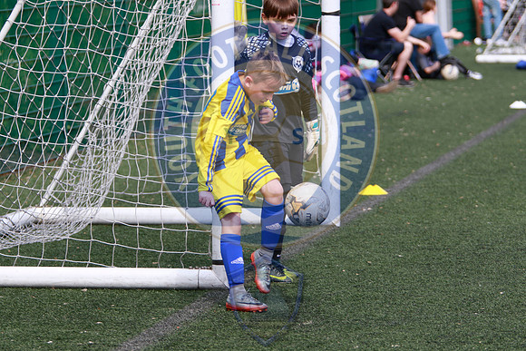 Harmony Row Football Festival (2006), Sir Alex Ferguson Park, Sa