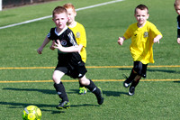 Reamonn Gormley Memorial Soccer Festival - Hamilton Palace Sport
