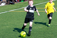 Reamonn Gormley Memorial Soccer Festival - Hamilton Palace Sport