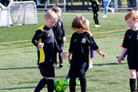 Reamonn Gormley Memorial Soccer Festival - Hamilton Palace Sport