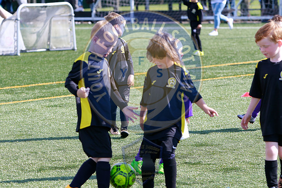 Reamonn Gormley Memorial Soccer Festival - Hamilton Palace Sport