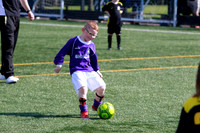 Reamonn Gormley Memorial Soccer Festival - Hamilton Palace Sport