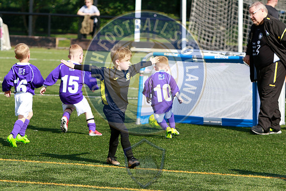 Reamonn Gormley Memorial Soccer Festival - Hamilton Palace Sport