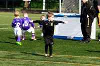 Reamonn Gormley Memorial Soccer Festival - Hamilton Palace Sport