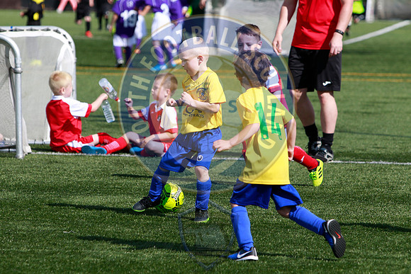 Reamonn Gormley Memorial Soccer Festival - Hamilton Palace Sport