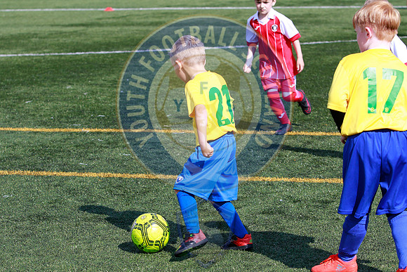 Reamonn Gormley Memorial Soccer Festival - Hamilton Palace Sport