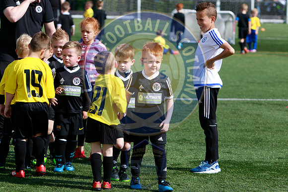 Reamonn Gormley Memorial Soccer Festival - Hamilton Palace Sport