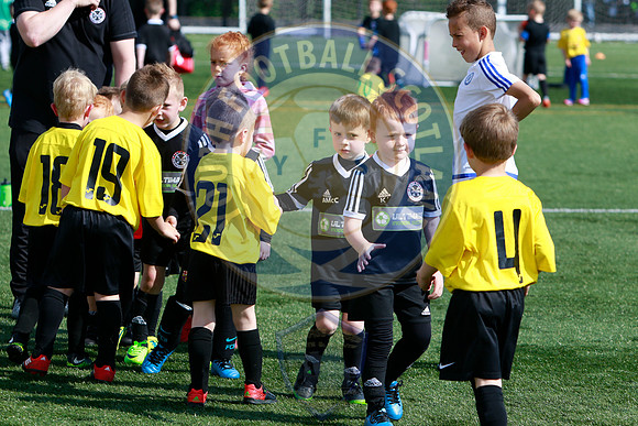 Reamonn Gormley Memorial Soccer Festival - Hamilton Palace Sport