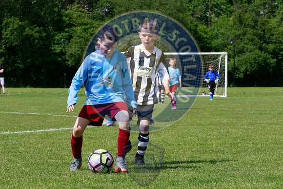 Reamonn Gormley Memorial Soccer Festival - Hamilton Palace Sport
