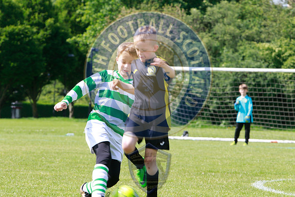 Reamonn Gormley Memorial Soccer Festival - Hamilton Palace Sport