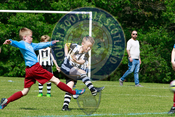 Reamonn Gormley Memorial Soccer Festival - Hamilton Palace Sport