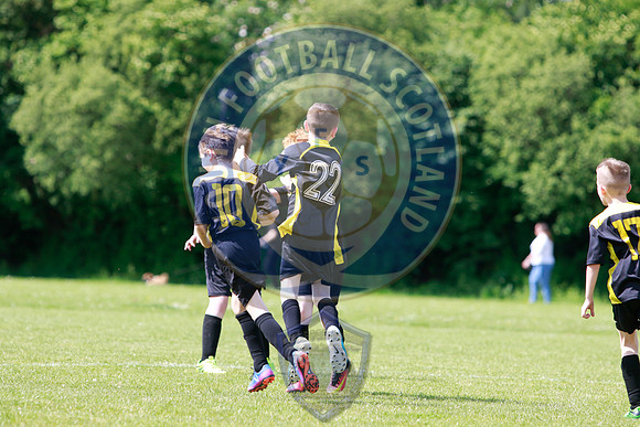 Reamonn Gormley Memorial Soccer Festival - Hamilton Palace Sport