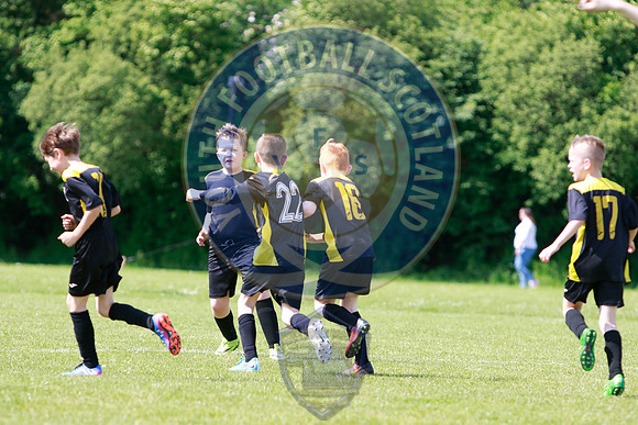 Reamonn Gormley Memorial Soccer Festival - Hamilton Palace Sport