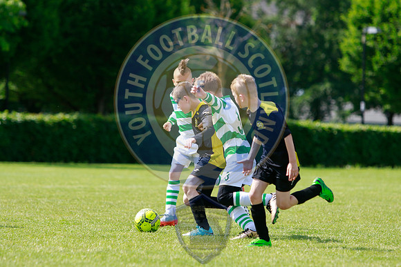 Reamonn Gormley Memorial Soccer Festival - Hamilton Palace Sport