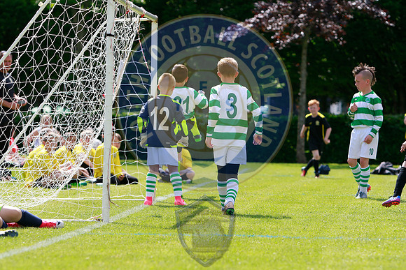 Reamonn Gormley Memorial Soccer Festival - Hamilton Palace Sport