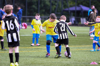 Reamonn Gormley Memorial Soccer Festival - Hamilton Palace Sport