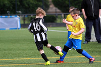 Reamonn Gormley Memorial Soccer Festival - Hamilton Palace Sport